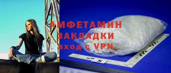 хмурый Алексин