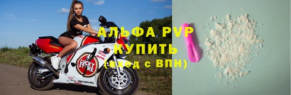 дживик Пересвет