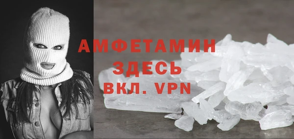 шишки Абаза