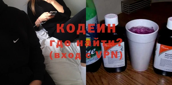 шишки Абаза