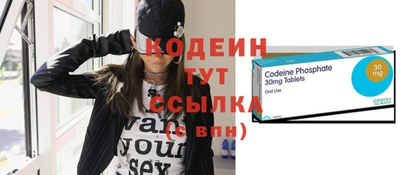 шишки Абаза