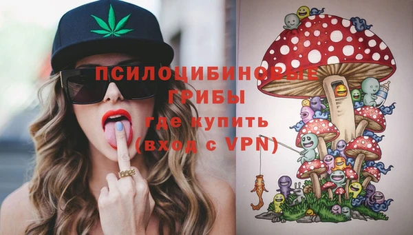 шишки Абаза