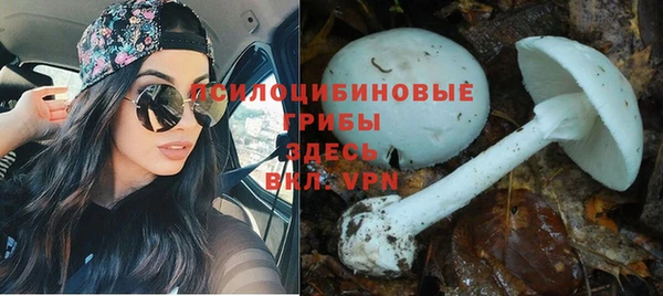 ГАЛЛЮЦИНОГЕННЫЕ ГРИБЫ Алзамай