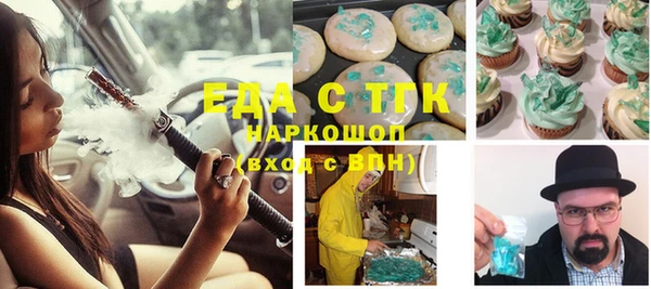 шишки Абаза