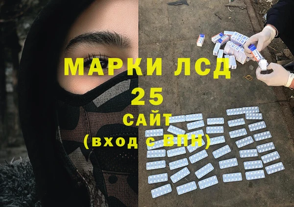 шишки Абаза