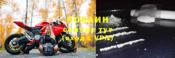 хмурый Алексин