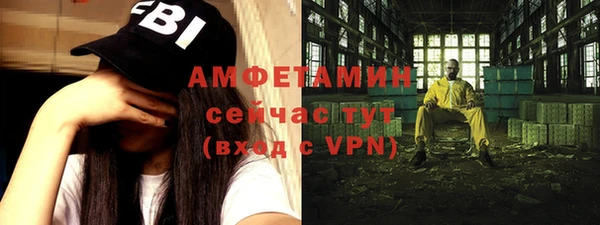 хмурый Алексин